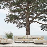 Drum Garden Coffee Table