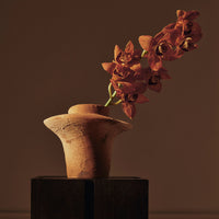 Terracotta vase with a smooth, organic shape, featuring rich red orchids against a dark background.