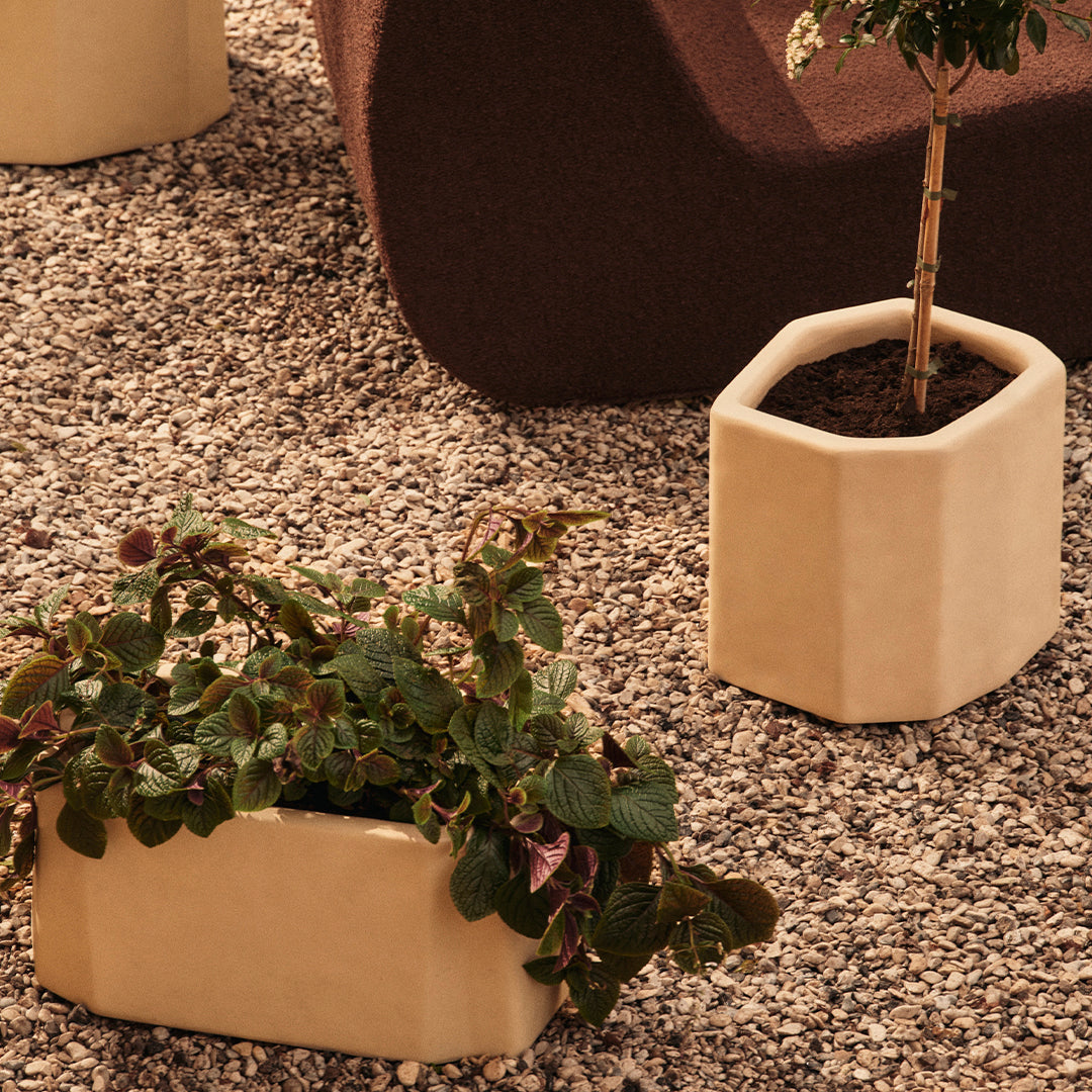 Hexagonal beige planters with textured surfaces, set against a neutral gravel background.
