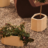 Hexagonal beige planters with textured surfaces, set against a neutral gravel background.