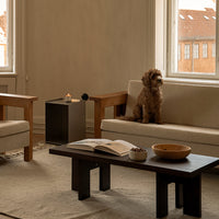 "Beige fabric sofa with wooden arms, dark wooden coffee table, and neutral decor in a sunlit living room."