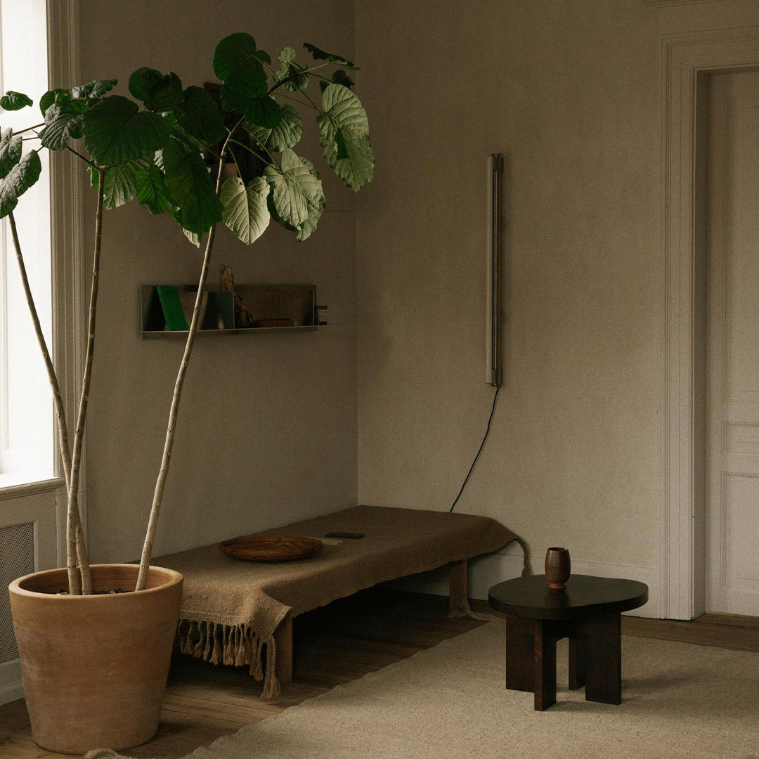Natural tones with earthy textures; features a large green plant and minimalist furniture in a soft, neutral space.