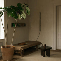 Natural tones with earthy textures; features a large green plant and minimalist furniture in a soft, neutral space.