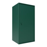 SM1210 Bathroom Cabinet w/ Door