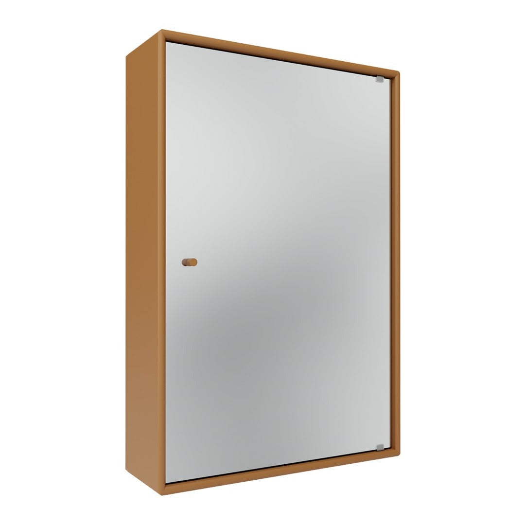 Modern two-tone cabinet featuring a sleek metallic silver door and warm brown frame. Perfect for contemporary spaces.