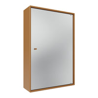 Modern two-tone cabinet featuring a sleek metallic silver door and warm brown frame. Perfect for contemporary spaces.