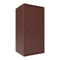 SM1210 Bathroom Cabinet w/ Door