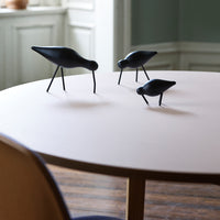 Shorebird (Quickship)