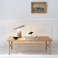 Shorebird (Quickship)