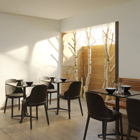 Modern black dining chairs with sleek lines, set against a light, neutral backdrop and warm natural wood accents.