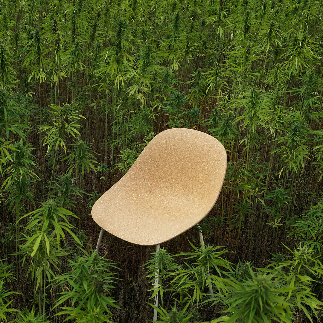 Natural cork chair featuring a smooth, beige finish, surrounded by vibrant green foliage. Ideal for earthy decor.