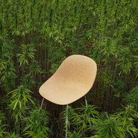 Natural cork chair featuring a smooth, beige finish, surrounded by vibrant green foliage. Ideal for earthy decor.