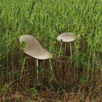 Gray patterned chairs blend with vibrant green foliage, showcasing a natural, organic aesthetic in a field setting.