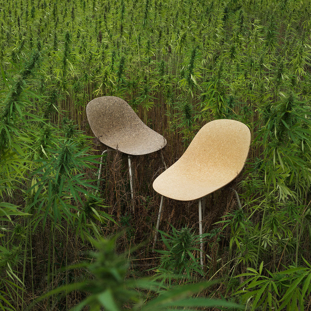 Two modern chairs in muted beige and light brown hues, surrounded by lush green foliage.