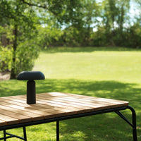 Black table lamp on natural wood surface, set against a vibrant green lawn and dappled sunlight.