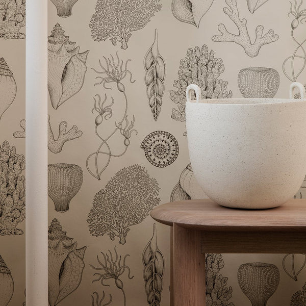 Beige wallpaper featuring detailed illustrations of coral and sea plants in natural tones, complemented by a light-colored planter.