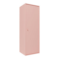 Minimalist pink wardrobe with a smooth, matte finish, featuring a simple door and no visible patterns.
