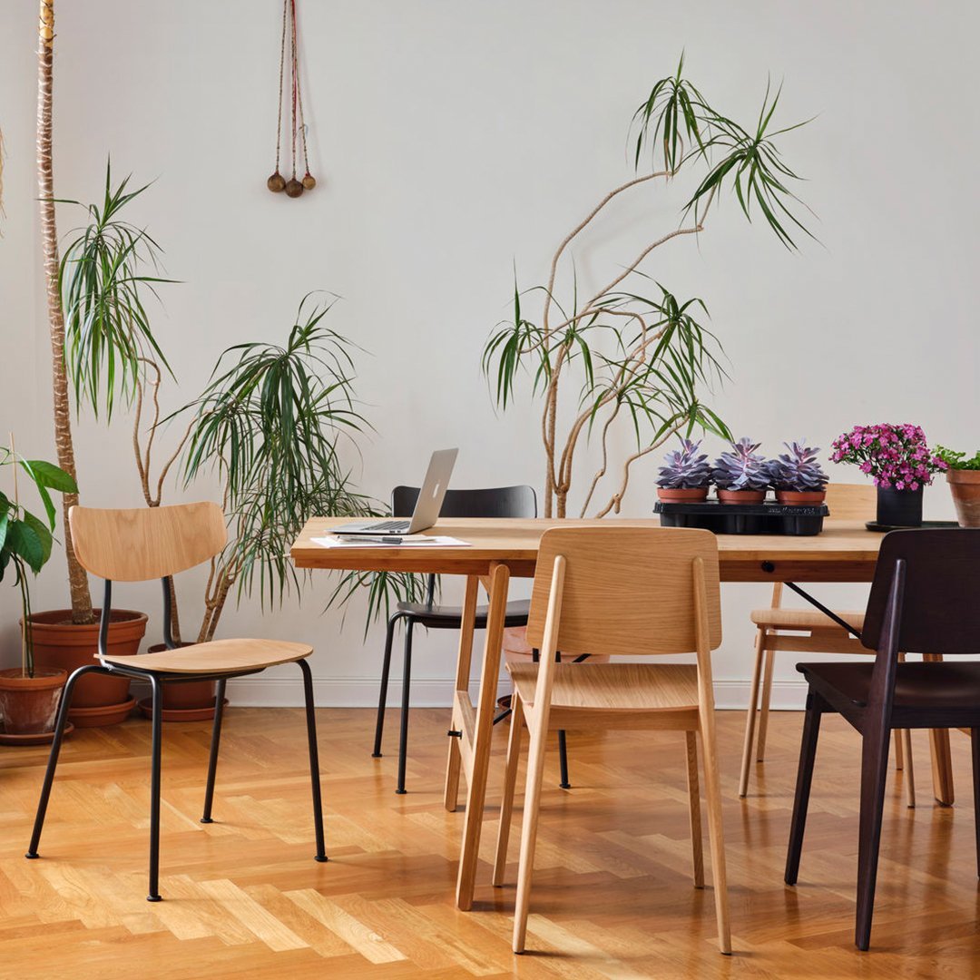 Natural wood tones and black accents on modern chairs; vibrant green plants and purple flowers in a bright, airy setting.
