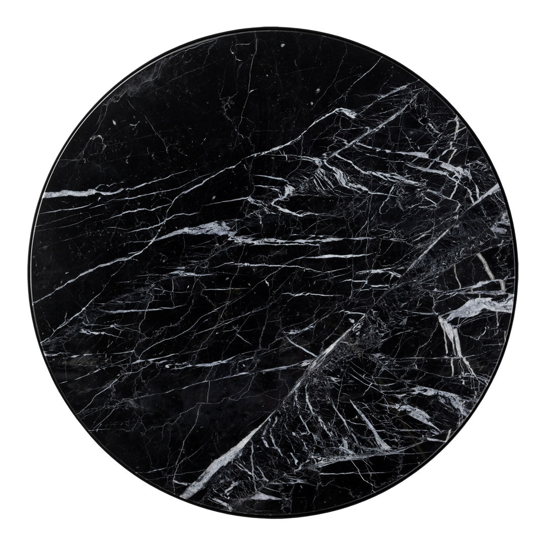 Pausillus Coffee Table