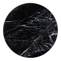 Pausillus Coffee Table