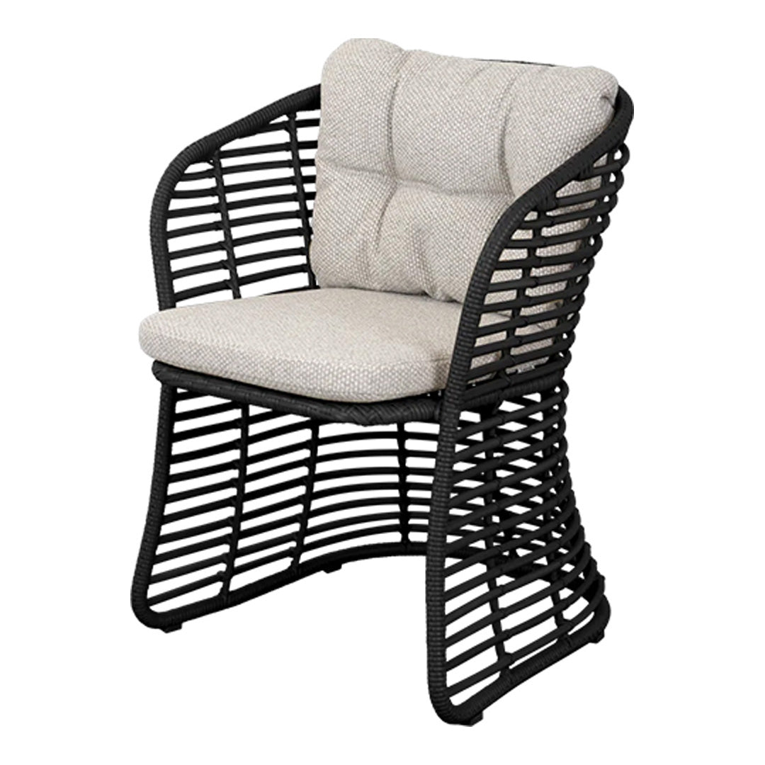 Basket Chair