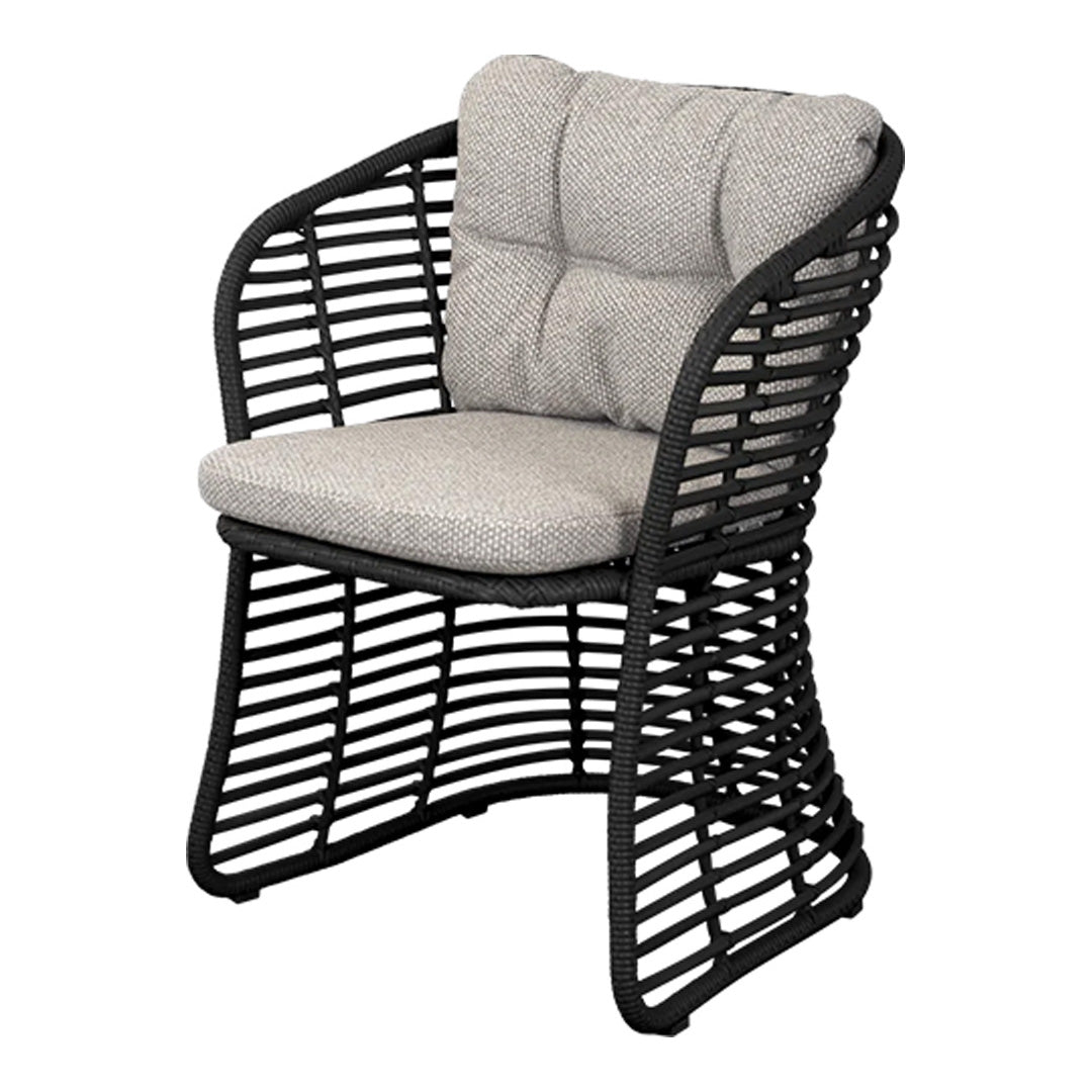 Basket Chair