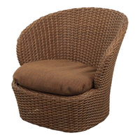 Coast Lounge Chair w/ Swivel Base