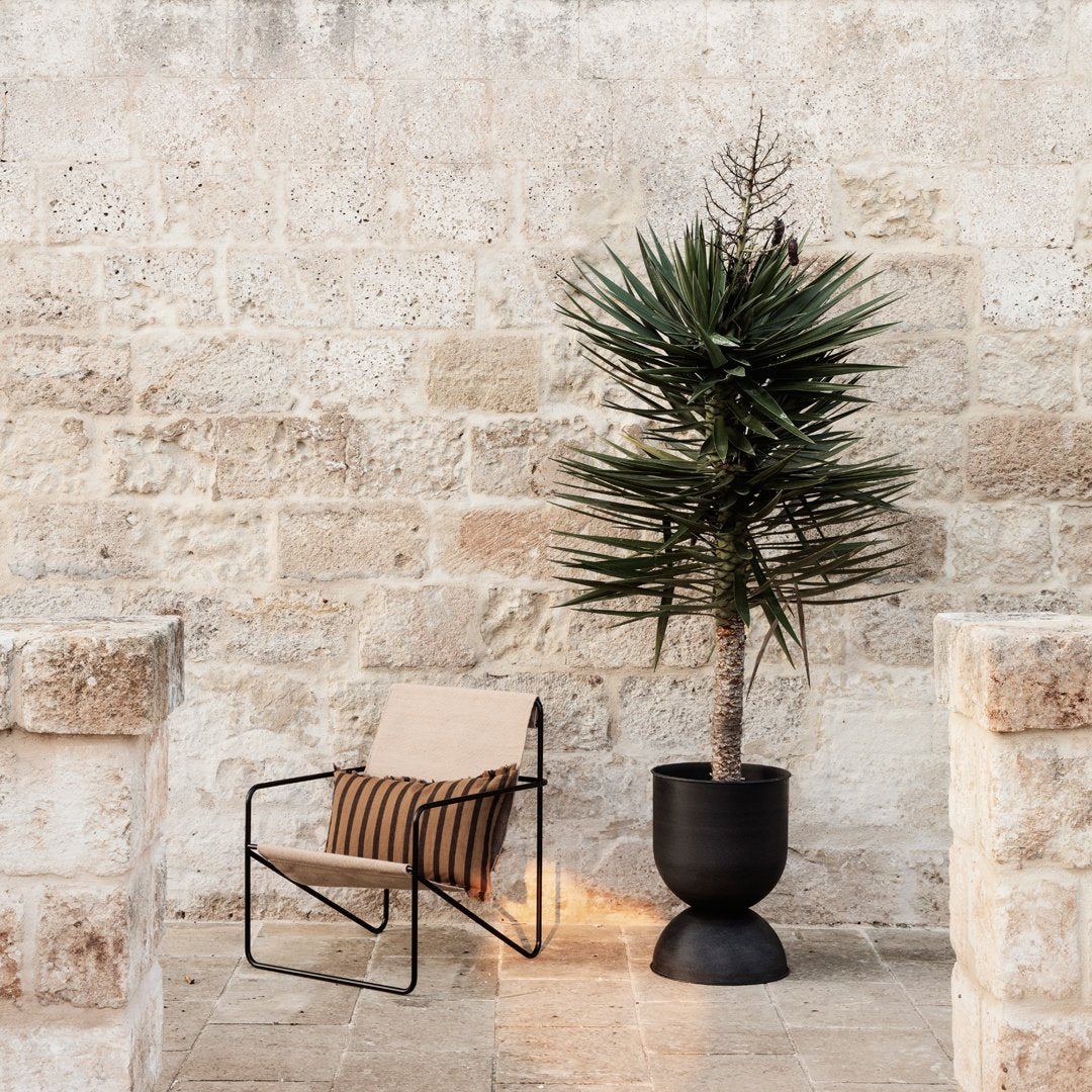 Neutral stone wall backdrop with a black metal planter, green foliage, and a beige chair featuring black and orange stripes.