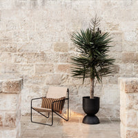Neutral stone wall backdrop with a black metal planter, green foliage, and a beige chair featuring black and orange stripes.