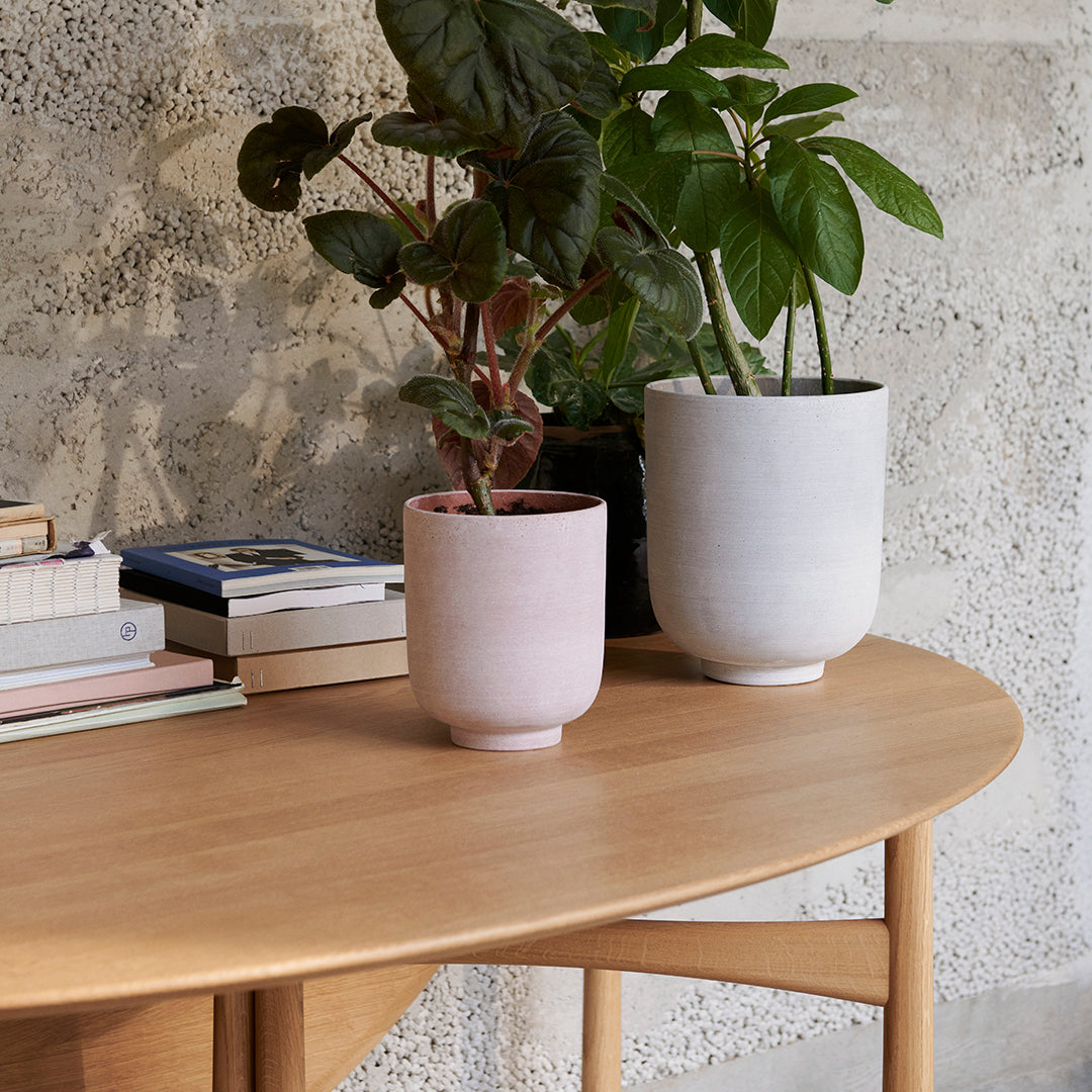 Pink and white ceramic pots with plants, set on a light wooden table against a textured grey wall.