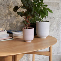 Pink and white ceramic pots with plants, set on a light wooden table against a textured grey wall.