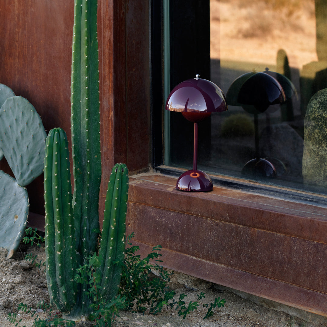 "Elegant burgundy lamp with a glossy finish beside tall green cacti against a textured brown backdrop."
