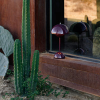 "Elegant burgundy lamp with a glossy finish beside tall green cacti against a textured brown backdrop."