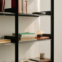 "Modern bookshelf with black frame, colorful book covers, and subtle earthy tones in decor."
