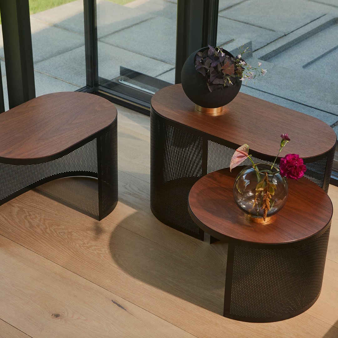 Pausillus Coffee Table