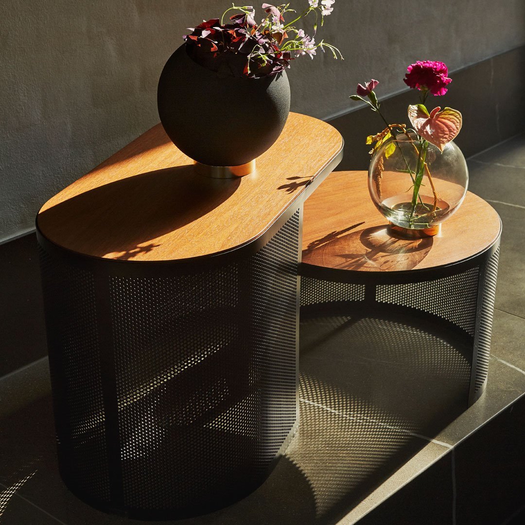 Pausillus Coffee Table