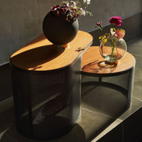 Pausillus Coffee Table