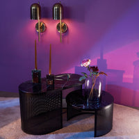 Pausillus Coffee Table