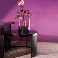 Pausillus Coffee Table