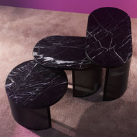 Pausillus Coffee Table