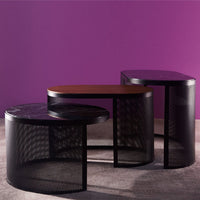 Pausillus Coffee Table