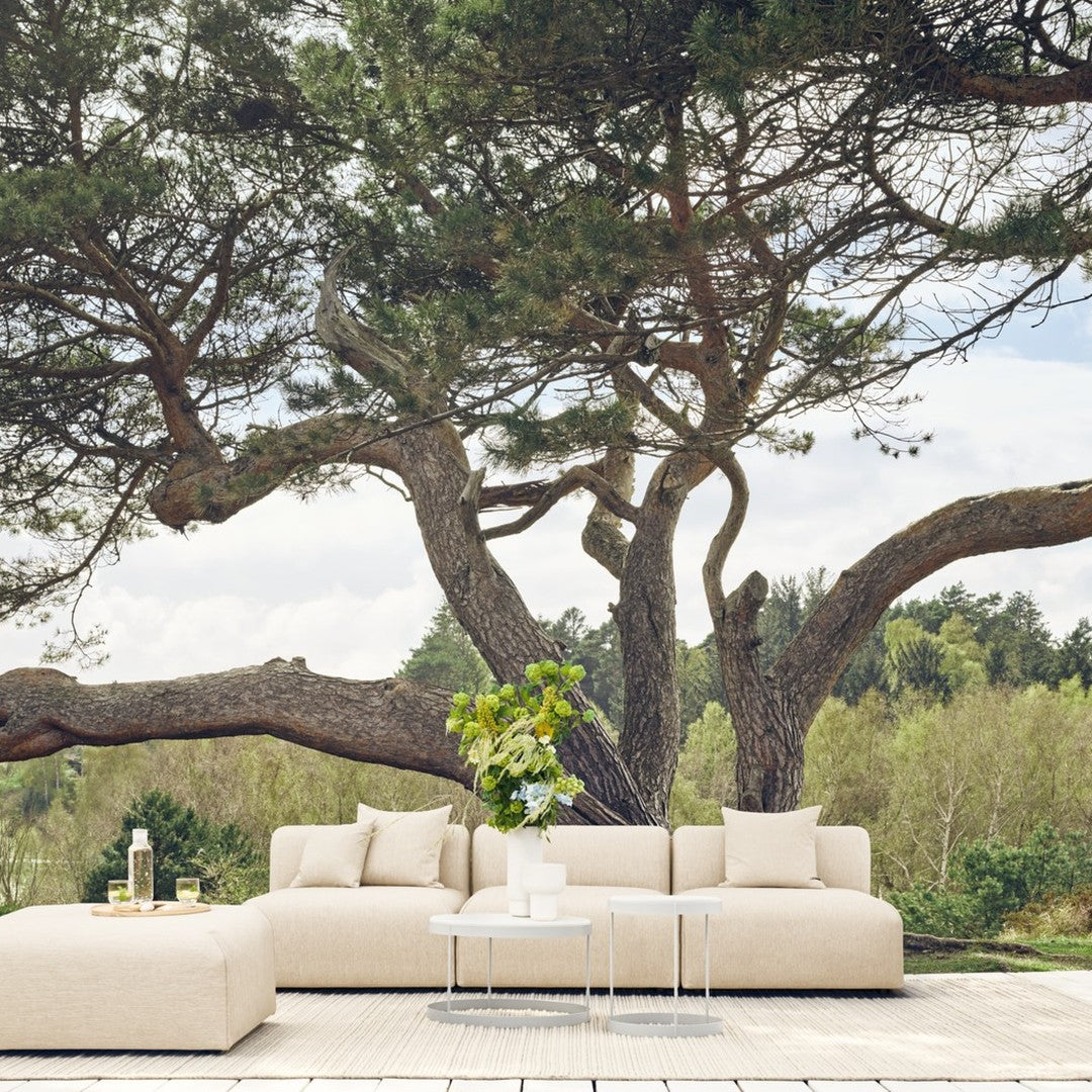 Beige outdoor sectional sofa with subtle texture, complemented by greenery and natural wood tones in the background.