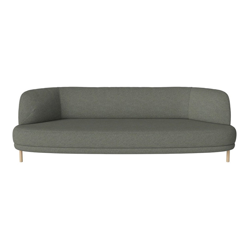 Modern gray sofa with a smooth, minimalist design and light wooden legs, perfect for contemporary interiors.