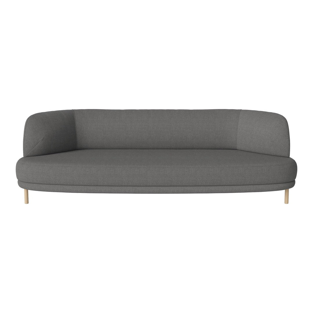 Modern gray sofa with a smooth texture and minimalist design, featuring light wooden legs for a stylish touch.