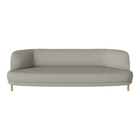 Light gray modern sofa with smooth upholstery and minimalist design, featuring natural wooden legs.