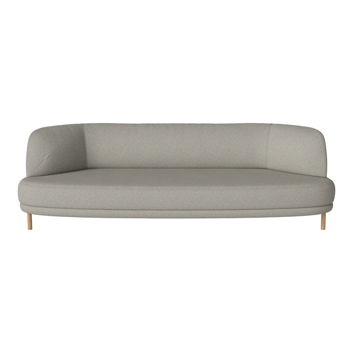 Light gray modern sofa with smooth upholstery and minimalist design, featuring natural wooden legs.