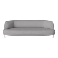 Light gray modern sofa with a smooth fabric finish and natural wood legs, featuring a minimalist curved design.
