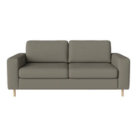 Stylish gray two-seater sofa with clean lines and a minimalist design, featuring light wooden legs.