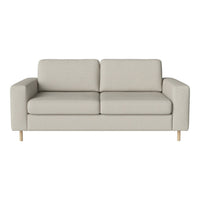 Light gray fabric sofa with clean lines and a minimalist design, featuring soft cushions and wooden legs.