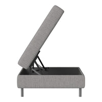 Gray upholstered storage sofa bed with clean lines and minimalist design, featuring a sleek metal base.